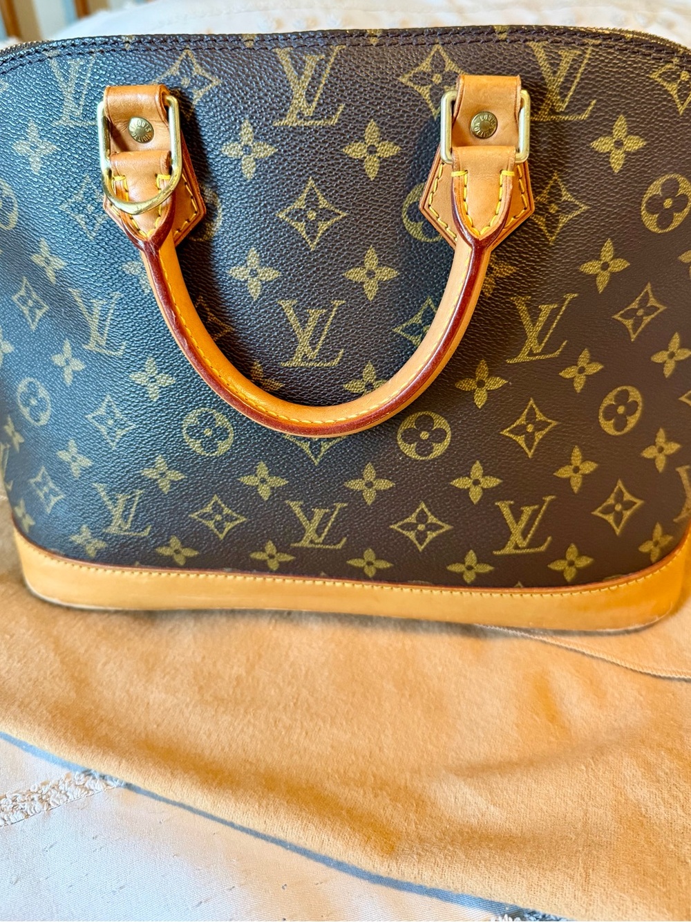 Louis Vuitton Alma PM - Picture 1 of 14